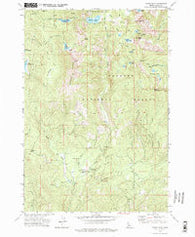 Paddy Flat Idaho Historical topographic map, 1:24000 scale, 7.5 X 7.5 Minute, Year 1973