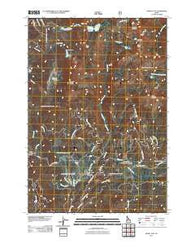Paddy Flat Idaho Historical topographic map, 1:24000 scale, 7.5 X 7.5 Minute, Year 2011