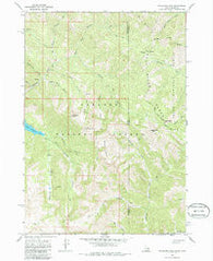 Palisades Peak Idaho Historical topographic map, 1:24000 scale, 7.5 X 7.5 Minute, Year 1966