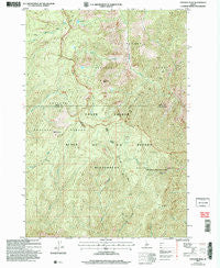 Papoose Peak Idaho Historical topographic map, 1:24000 scale, 7.5 X 7.5 Minute, Year 2004