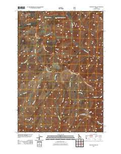 Papoose Peak Idaho Historical topographic map, 1:24000 scale, 7.5 X 7.5 Minute, Year 2011