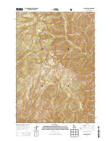 Papoose Peak Idaho Current topographic map, 1:24000 scale, 7.5 X 7.5 Minute, Year 2013