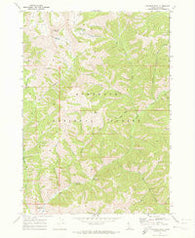 Paradise Peak Idaho Historical topographic map, 1:24000 scale, 7.5 X 7.5 Minute, Year 1970