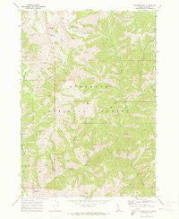 Paradise Peak Idaho Historical topographic map, 1:24000 scale, 7.5 X 7.5 Minute, Year 1970