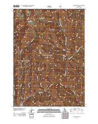 Paradise Peak Idaho Historical topographic map, 1:24000 scale, 7.5 X 7.5 Minute, Year 2011
