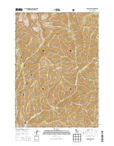 Paradise Peak Idaho Current topographic map, 1:24000 scale, 7.5 X 7.5 Minute, Year 2013