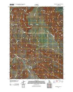 Paradise Valley Idaho Historical topographic map, 1:24000 scale, 7.5 X 7.5 Minute, Year 2010