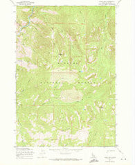 Parks Peak Idaho Historical topographic map, 1:24000 scale, 7.5 X 7.5 Minute, Year 1969