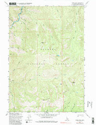 Parks Peak Idaho Historical topographic map, 1:24000 scale, 7.5 X 7.5 Minute, Year 1969