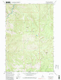 Parks Peak Idaho Historical topographic map, 1:24000 scale, 7.5 X 7.5 Minute, Year 1969
