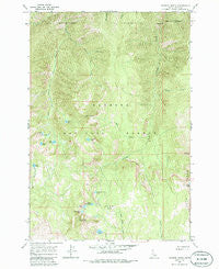 Patrick Butte Idaho Historical topographic map, 1:24000 scale, 7.5 X 7.5 Minute, Year 1964