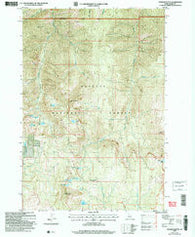 Patrick Butte Idaho Historical topographic map, 1:24000 scale, 7.5 X 7.5 Minute, Year 2004