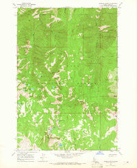 Patrick Butte Idaho Historical topographic map, 1:24000 scale, 7.5 X 7.5 Minute, Year 1964