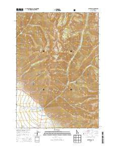 Patterson Idaho Current topographic map, 1:24000 scale, 7.5 X 7.5 Minute, Year 2013