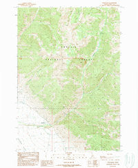 Patterson Idaho Historical topographic map, 1:24000 scale, 7.5 X 7.5 Minute, Year 1989