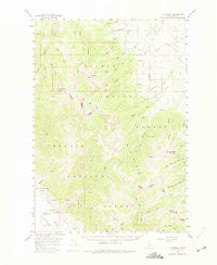 Patterson Idaho Historical topographic map, 1:62500 scale, 15 X 15 Minute, Year 1956