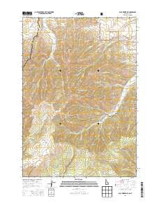 Paul Reservoir Idaho Current topographic map, 1:24000 scale, 7.5 X 7.5 Minute, Year 2013