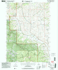 Peck Mountain Idaho Historical topographic map, 1:24000 scale, 7.5 X 7.5 Minute, Year 2004