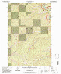 Peggy Peak Idaho Historical topographic map, 1:24000 scale, 7.5 X 7.5 Minute, Year 1995