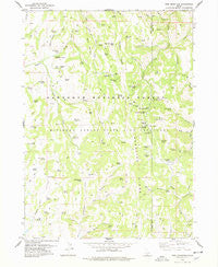 Pike Mountain Idaho Historical topographic map, 1:24000 scale, 7.5 X 7.5 Minute, Year 1978