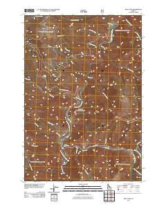 Pilot Peak Idaho Historical topographic map, 1:24000 scale, 7.5 X 7.5 Minute, Year 2011