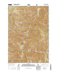 Pilot Peak Idaho Current topographic map, 1:24000 scale, 7.5 X 7.5 Minute, Year 2013