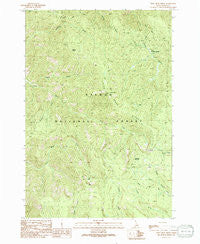 Pine Creek Ridge Idaho Historical topographic map, 1:24000 scale, 7.5 X 7.5 Minute, Year 1991