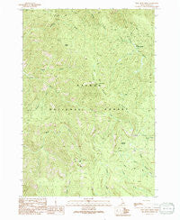 Pine Creek Ridge Idaho Historical topographic map, 1:24000 scale, 7.5 X 7.5 Minute, Year 1991