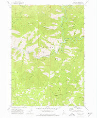 Pine Flat Idaho Historical topographic map, 1:24000 scale, 7.5 X 7.5 Minute, Year 1972
