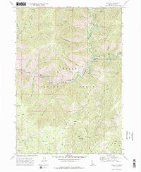 Pine Flat Idaho Historical topographic map, 1:24000 scale, 7.5 X 7.5 Minute, Year 1972