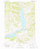 Pine Idaho Historical topographic map, 1:24000 scale, 7.5 X 7.5 Minute, Year 1973