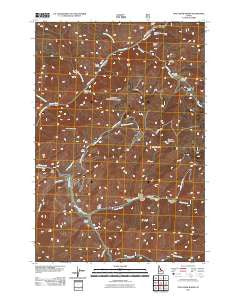 Pine Creek Rapids Idaho Historical topographic map, 1:24000 scale, 7.5 X 7.5 Minute, Year 2011