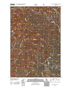 Pine Creek Ridge Idaho Historical topographic map, 1:24000 scale, 7.5 X 7.5 Minute, Year 2011