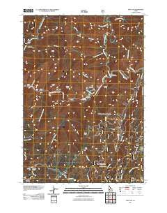Pine Flat Idaho Historical topographic map, 1:24000 scale, 7.5 X 7.5 Minute, Year 2011