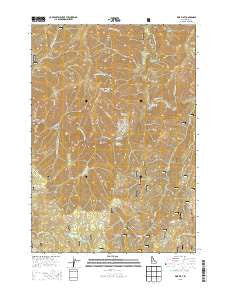 Pine Flat Idaho Current topographic map, 1:24000 scale, 7.5 X 7.5 Minute, Year 2013