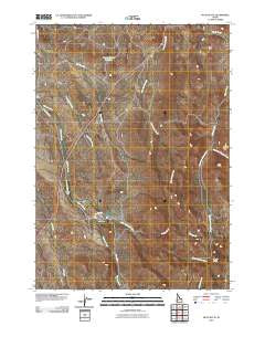 Piute Butte Idaho Historical topographic map, 1:24000 scale, 7.5 X 7.5 Minute, Year 2010