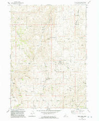 Pixley Basin Idaho Historical topographic map, 1:24000 scale, 7.5 X 7.5 Minute, Year 1992