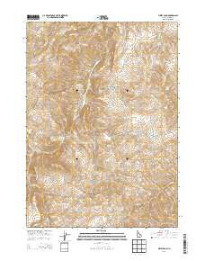 Pixley Basin Idaho Current topographic map, 1:24000 scale, 7.5 X 7.5 Minute, Year 2013