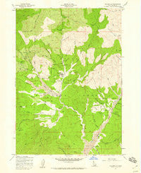 Placerville Idaho Historical topographic map, 1:24000 scale, 7.5 X 7.5 Minute, Year 1957