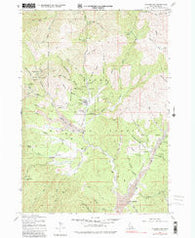 Placerville Idaho Historical topographic map, 1:24000 scale, 7.5 X 7.5 Minute, Year 1976