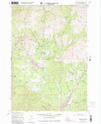 Placerville Idaho Historical topographic map, 1:24000 scale, 7.5 X 7.5 Minute, Year 1976
