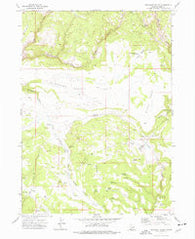 Pleasant Valley Idaho Historical topographic map, 1:24000 scale, 7.5 X 7.5 Minute, Year 1973