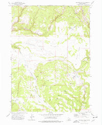 Pleasant Valley Idaho Historical topographic map, 1:24000 scale, 7.5 X 7.5 Minute, Year 1973