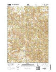 Point Lookout Idaho Current topographic map, 1:24000 scale, 7.5 X 7.5 Minute, Year 2013