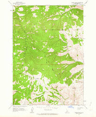 Poison Peak Idaho Historical topographic map, 1:24000 scale, 7.5 X 7.5 Minute, Year 1962