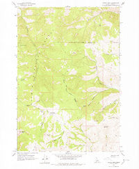 Poison Peak Idaho Historical topographic map, 1:24000 scale, 7.5 X 7.5 Minute, Year 1962