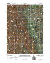 Poison Creek Idaho Historical topographic map, 1:24000 scale, 7.5 X 7.5 Minute, Year 2010