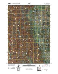 Poison Creek Idaho Historical topographic map, 1:24000 scale, 7.5 X 7.5 Minute, Year 2010