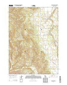 Poison Creek Idaho Current topographic map, 1:24000 scale, 7.5 X 7.5 Minute, Year 2013