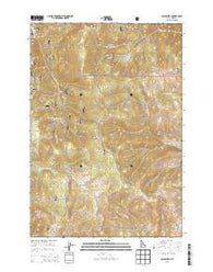 Poison Peak Idaho Current topographic map, 1:24000 scale, 7.5 X 7.5 Minute, Year 2013